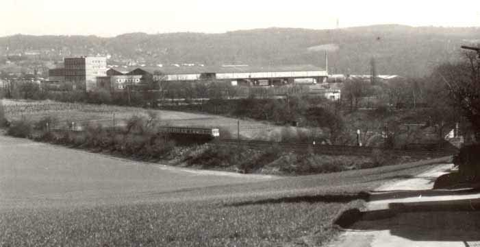 Grünewald Richtung Essener Straße (Foto Dieter Kraß)