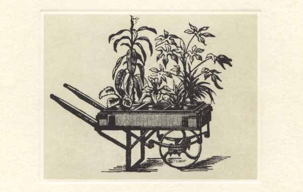 Blumentransportkarre von C. Blumhardt auf Simonshaus bei Vohwinkel (Foto aus der Festschrift: 100 Jahre Entwicklung im Transportwesen 100 Jahre Fortschritt mit Blumhardt 1870 - 1970)